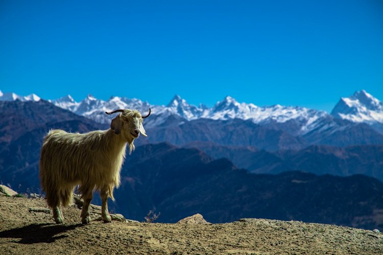 Chanshal Pass panoramic snow Himalayan peaks Shimla district Himachal Pradesh