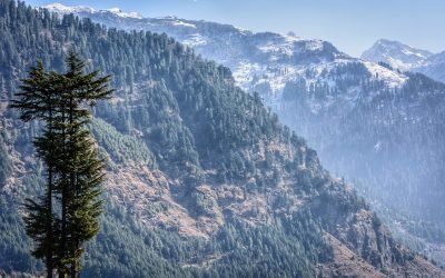 Shimla & Manali: Your Perfect Summer Escape in the Himalayas